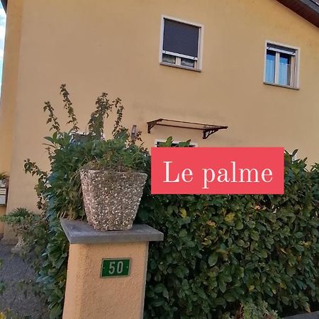 Le Palme Hotel Monteceneri Bagian luar foto