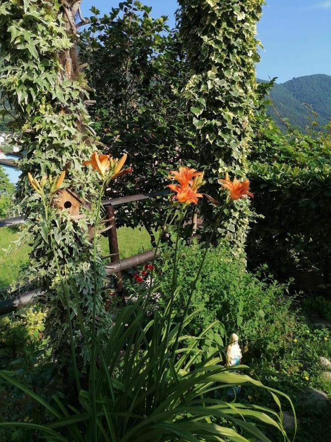 Le Palme Hotel Monteceneri Bagian luar foto