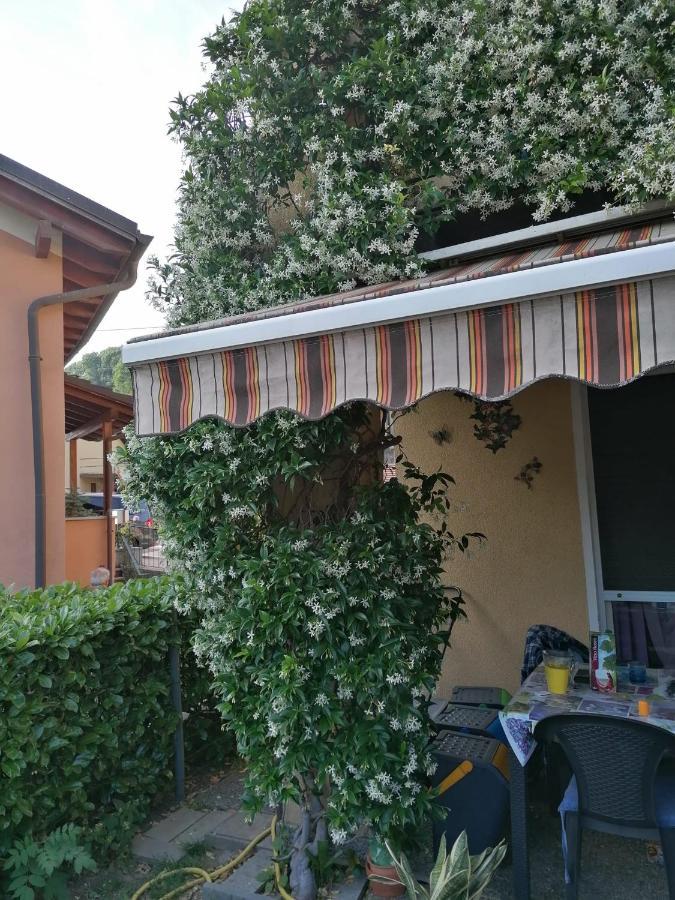 Le Palme Hotel Monteceneri Bagian luar foto