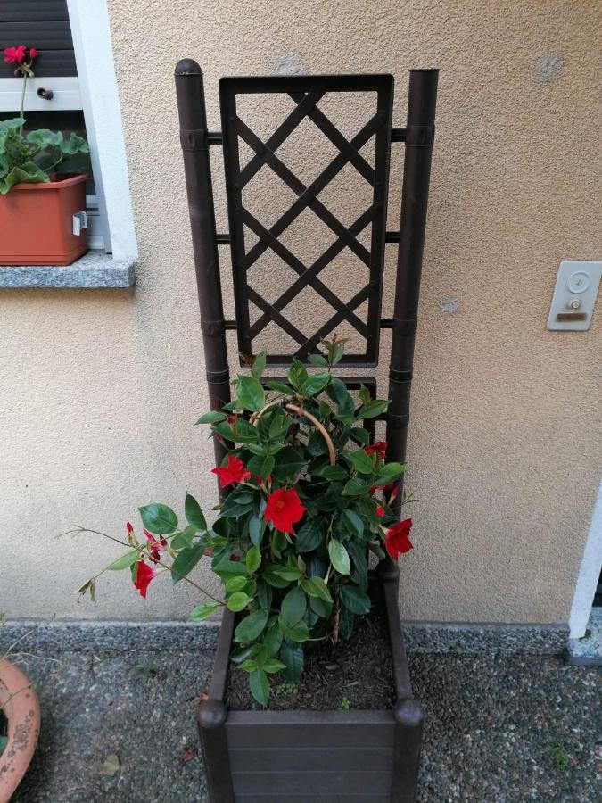 Le Palme Hotel Monteceneri Bagian luar foto