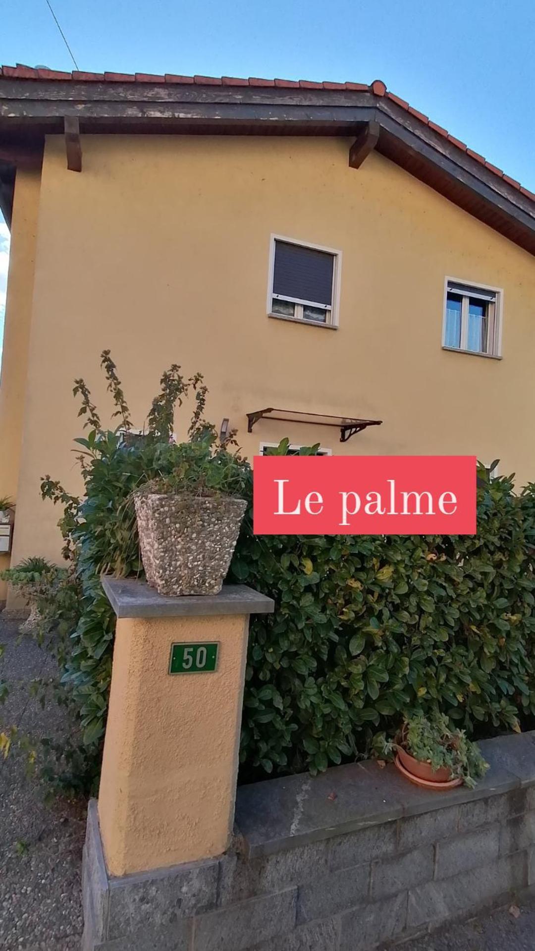 Le Palme Hotel Monteceneri Bagian luar foto